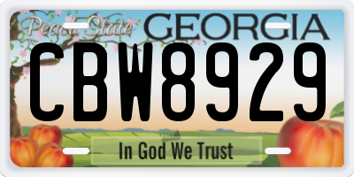 GA license plate CBW8929
