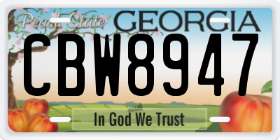 GA license plate CBW8947