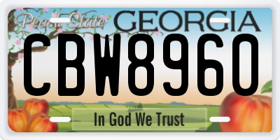 GA license plate CBW8960