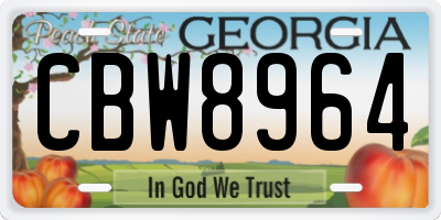 GA license plate CBW8964