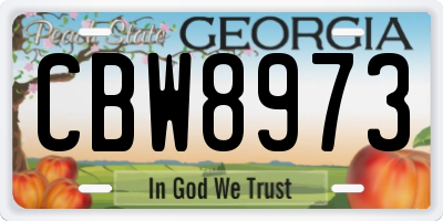 GA license plate CBW8973