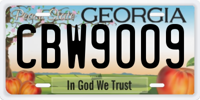 GA license plate CBW9009