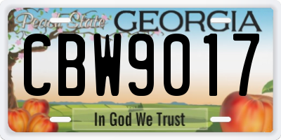 GA license plate CBW9017