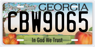 GA license plate CBW9065