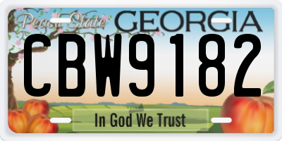GA license plate CBW9182