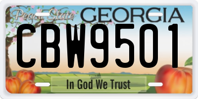 GA license plate CBW9501