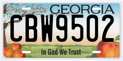 GA license plate CBW9502