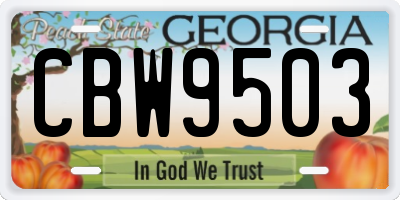 GA license plate CBW9503