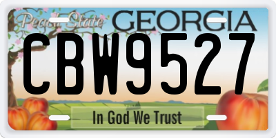 GA license plate CBW9527