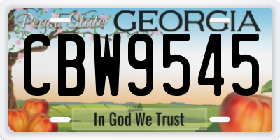 GA license plate CBW9545