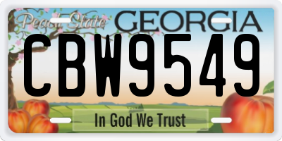 GA license plate CBW9549