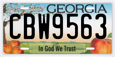 GA license plate CBW9563