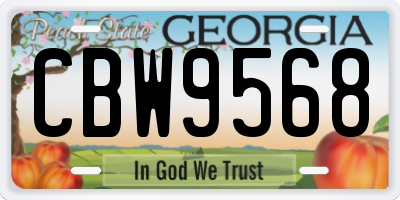 GA license plate CBW9568