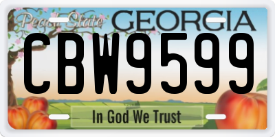 GA license plate CBW9599