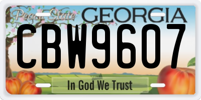 GA license plate CBW9607