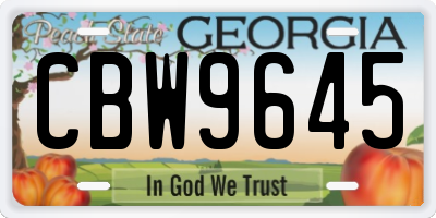 GA license plate CBW9645