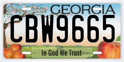 GA license plate CBW9665