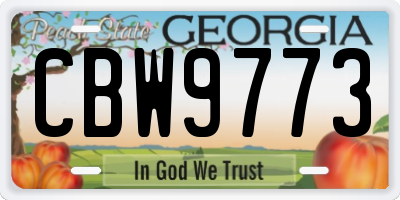 GA license plate CBW9773