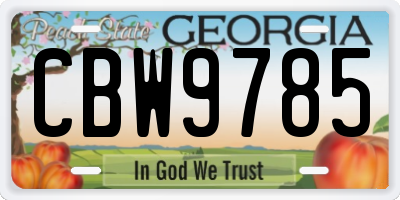 GA license plate CBW9785