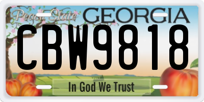 GA license plate CBW9818