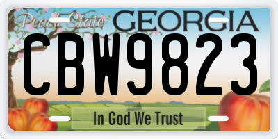 GA license plate CBW9823