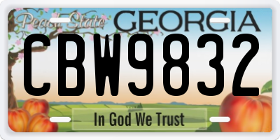 GA license plate CBW9832