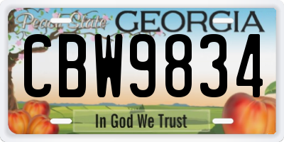 GA license plate CBW9834