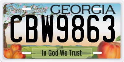 GA license plate CBW9863