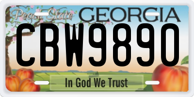 GA license plate CBW9890