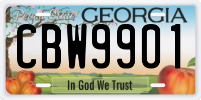 GA license plate CBW9901