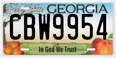 GA license plate CBW9954