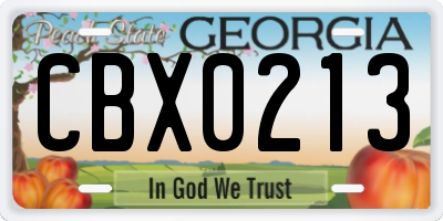 GA license plate CBX0213