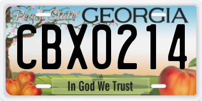 GA license plate CBX0214