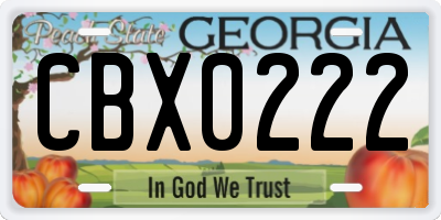 GA license plate CBX0222