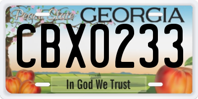 GA license plate CBX0233