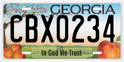 GA license plate CBX0234