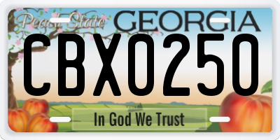 GA license plate CBX0250