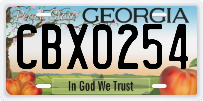 GA license plate CBX0254