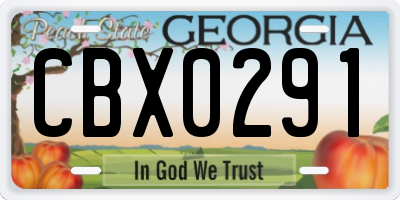 GA license plate CBX0291