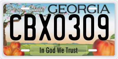 GA license plate CBX0309
