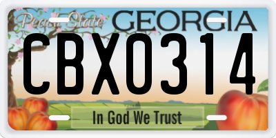 GA license plate CBX0314