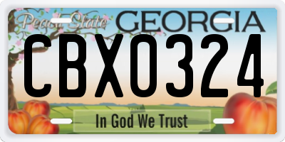 GA license plate CBX0324