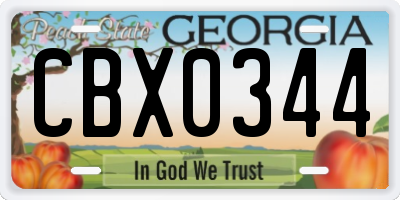 GA license plate CBX0344