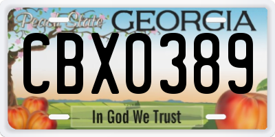 GA license plate CBX0389