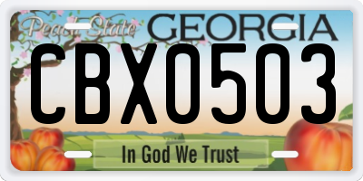 GA license plate CBX0503