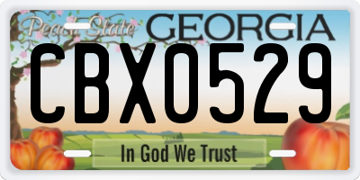 GA license plate CBX0529