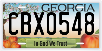GA license plate CBX0548