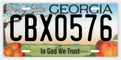 GA license plate CBX0576