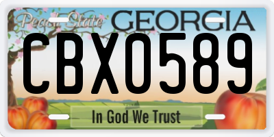 GA license plate CBX0589