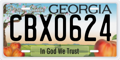 GA license plate CBX0624